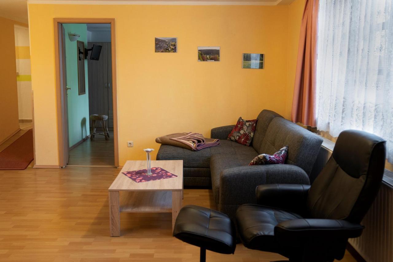 Ferienwohnung Reifberg Ilmenau Εξωτερικό φωτογραφία